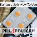 Kamagra Jelly How To Use 24